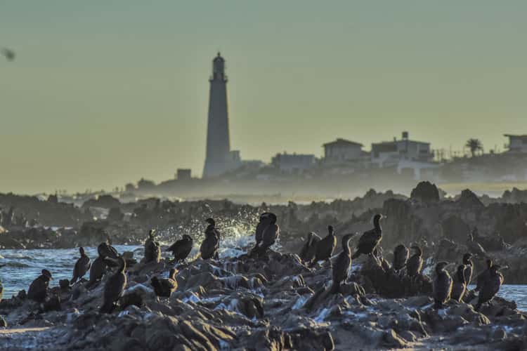 Santa Maria Lighthouse