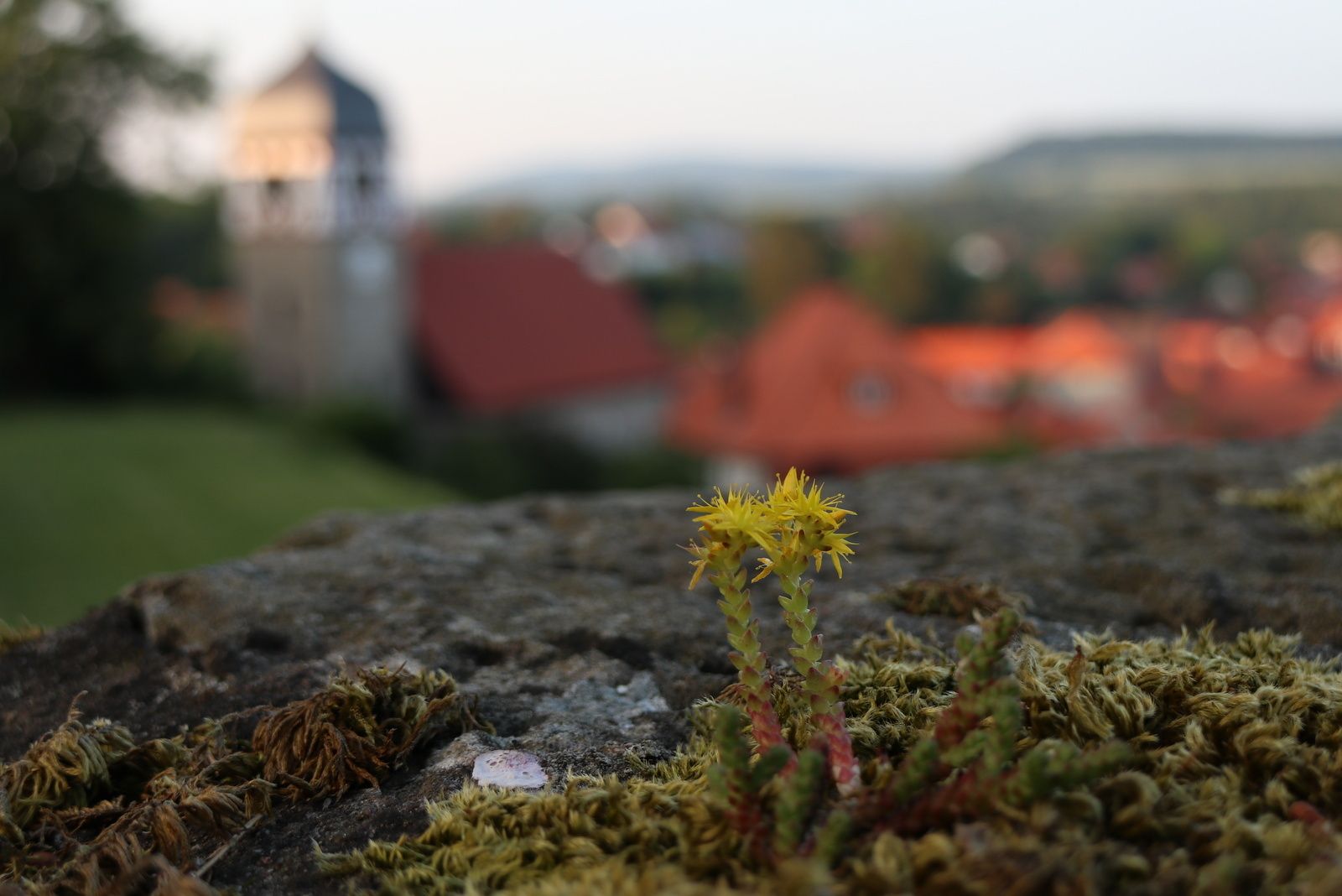 Schloss Adelebsen, Germany