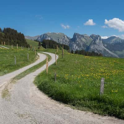 Schüpfenalp, Switzerland