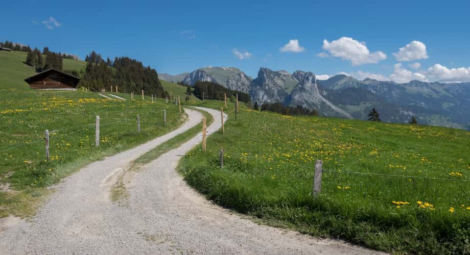 Schüpfenalp
