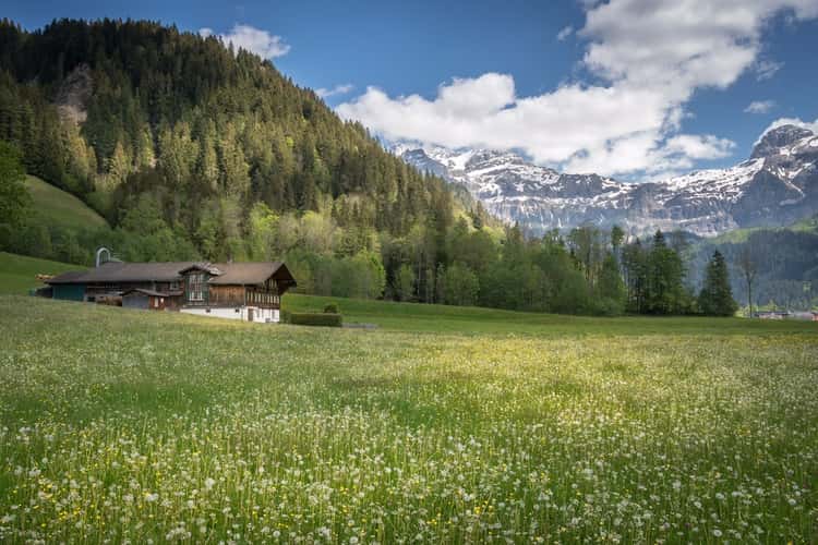 Simmendamm, Lenk
