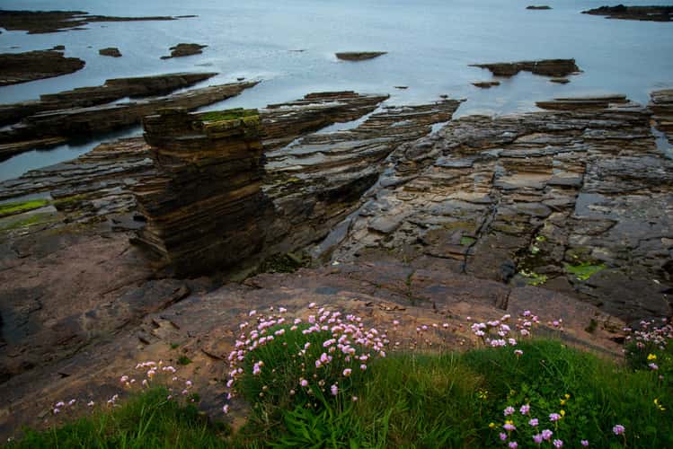 Birsa Shoreline