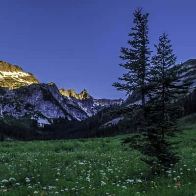 Spider Meadow 1, USA