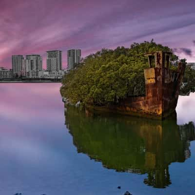 SS Ayrfield Shipwreck Homebush Sydney, Australia