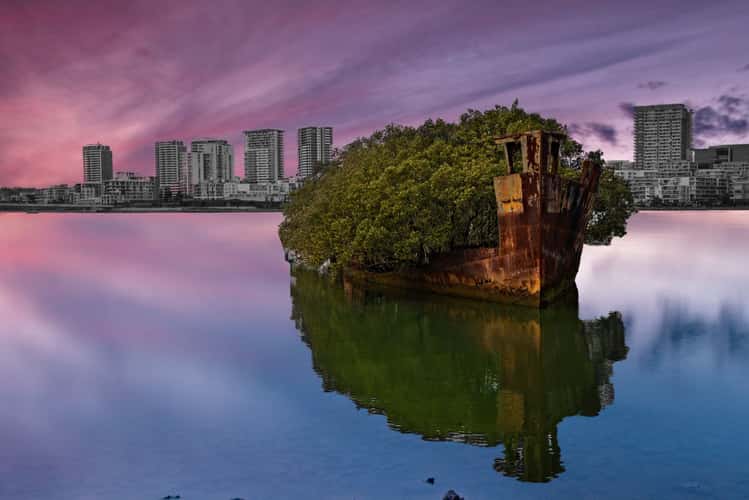 SS Ayrfield Shipwreck Homebush Sydney