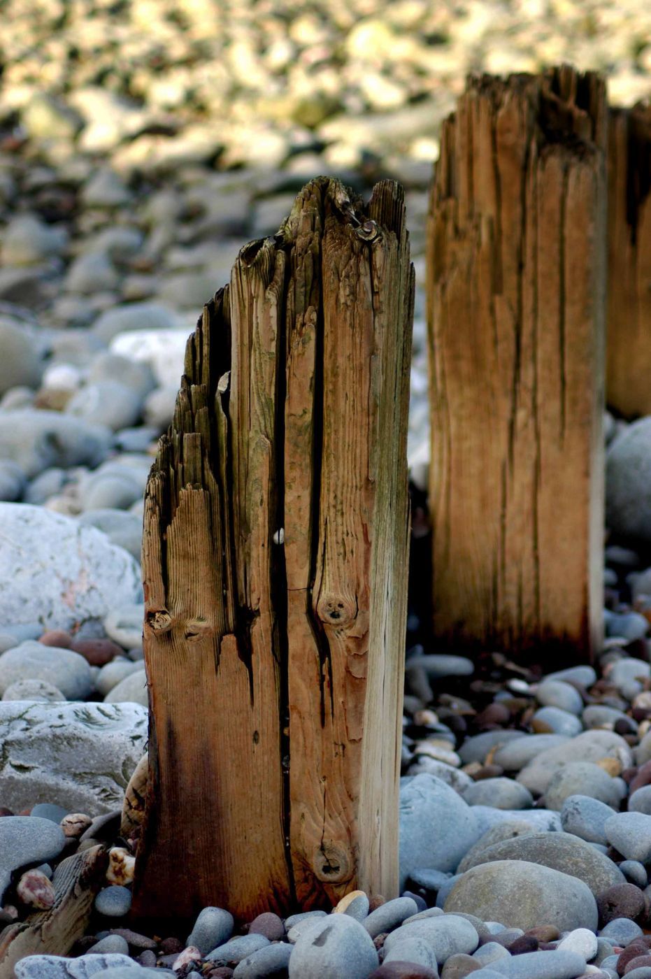 Stolford Beach, United Kingdom