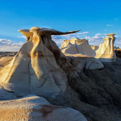 Stone Wings, USA