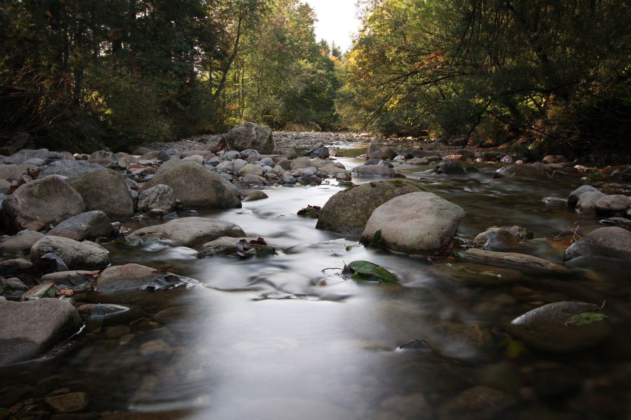 Stream Rümlig, Eigental, Switzerland