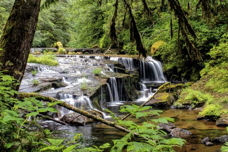 Sweet Creek