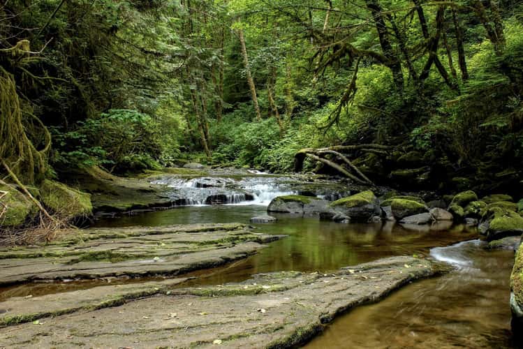 Sweet Creek