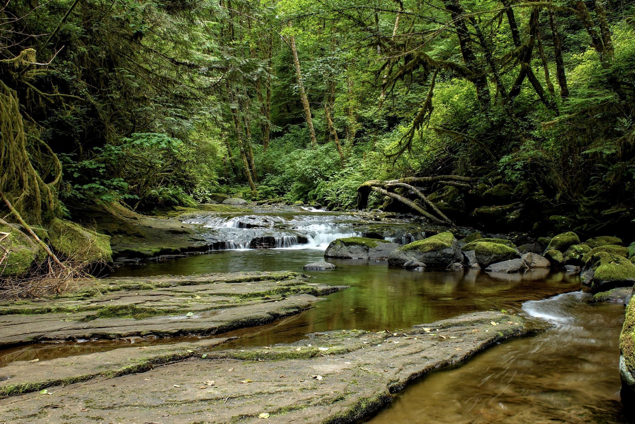 Sweet Creek, USA