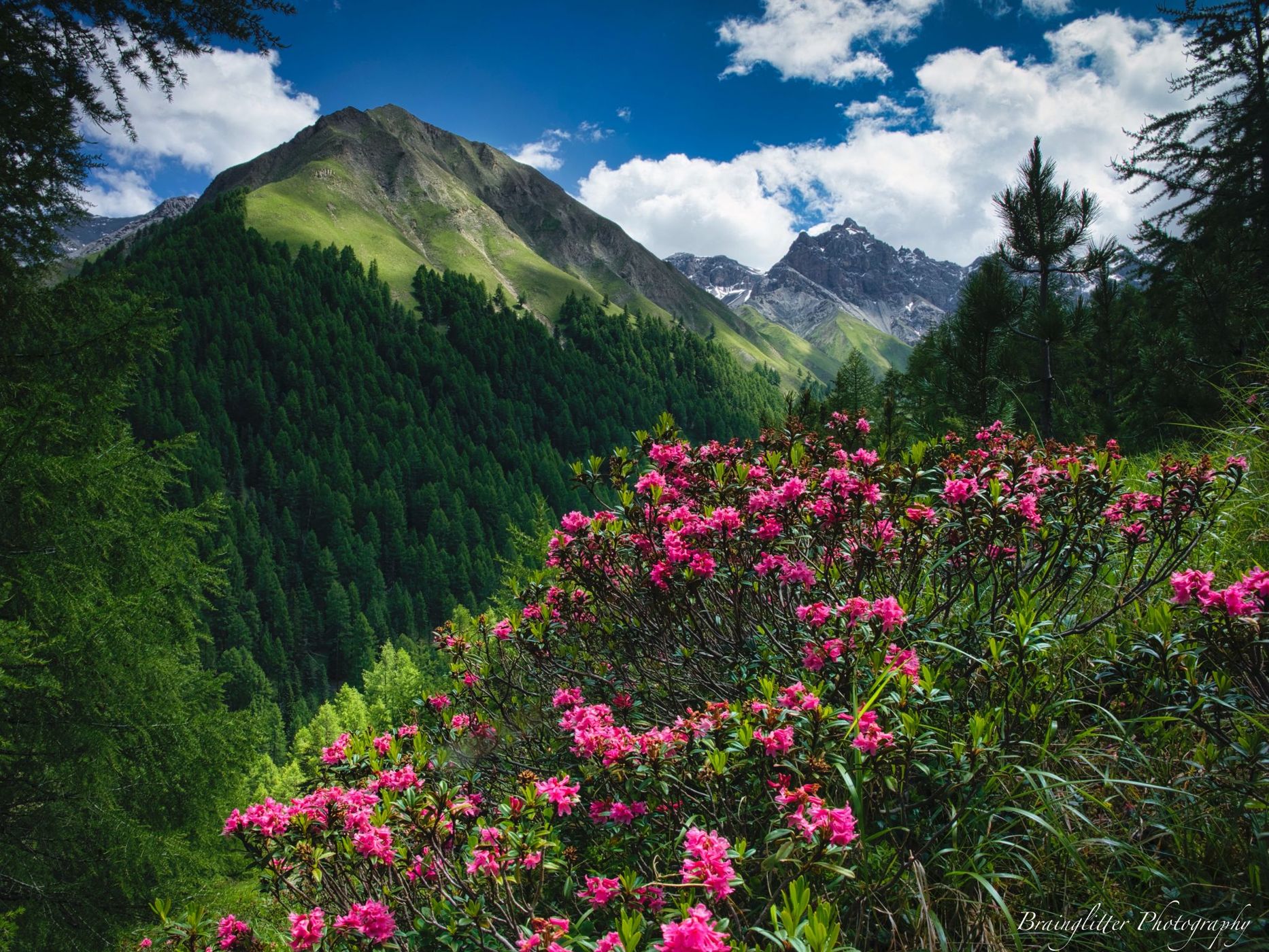 Swiss Nationalpark Trupchun valley, Switzerland