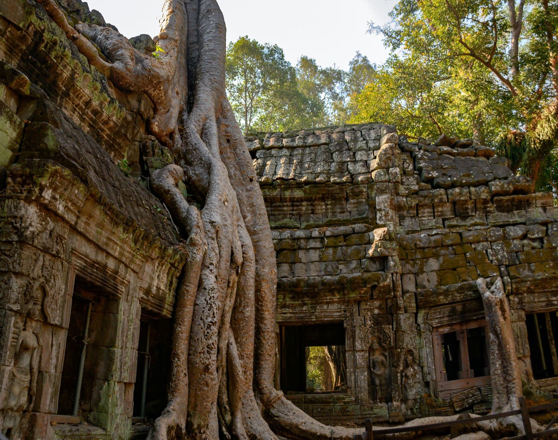 Ta Prohm, Cambodia
