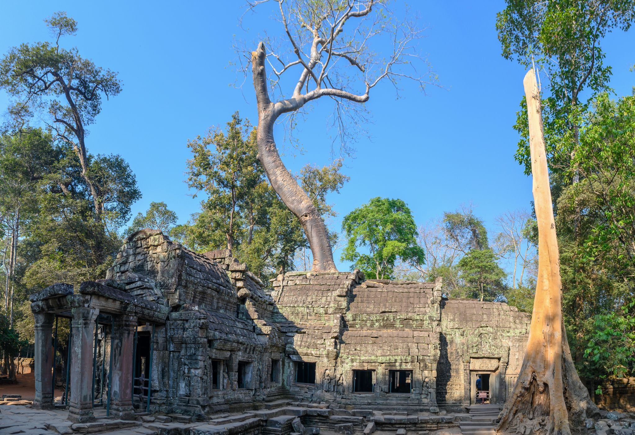Ta Prohm, Cambodia