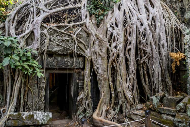 Ta Prohm