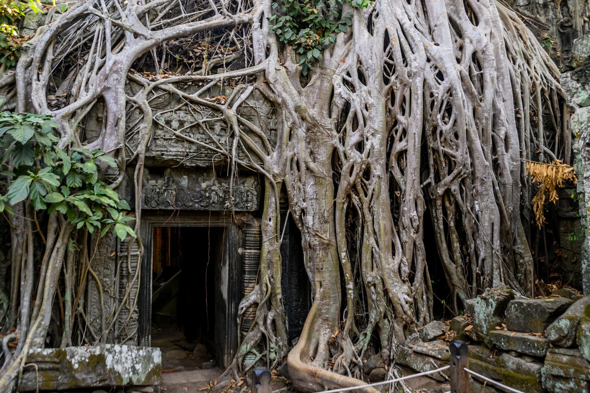 Ta Prohm, Cambodia