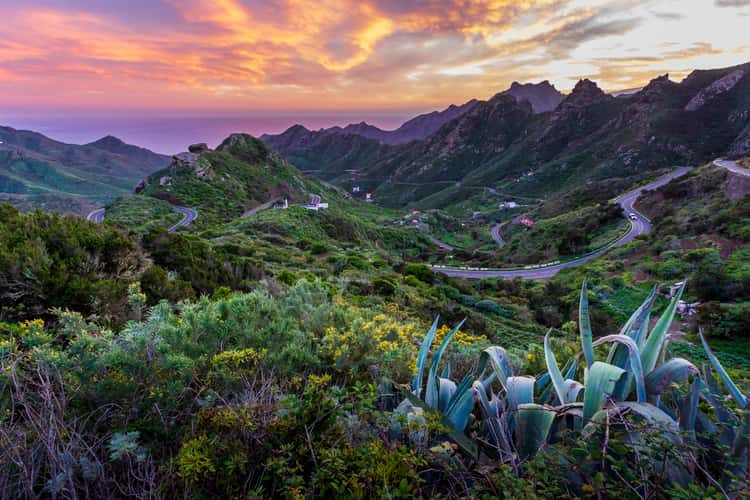 Tenerife walley