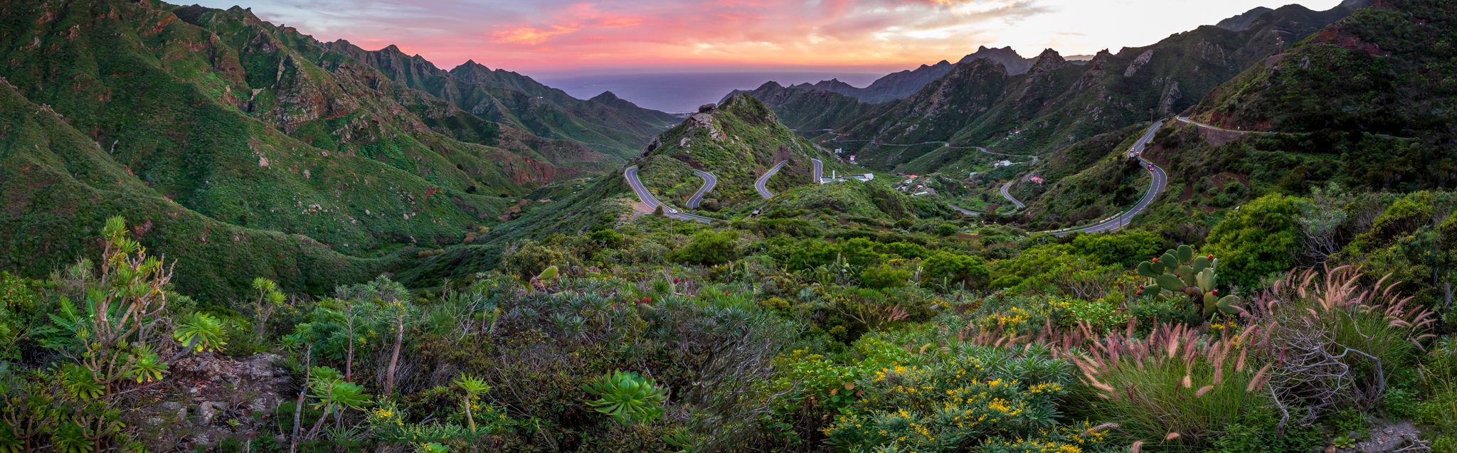 Tenerife walley, Spain