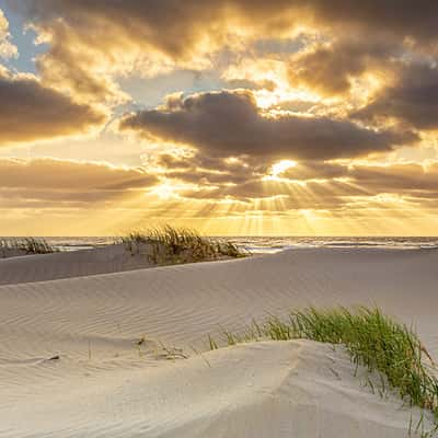 Texel beach, Netherlands