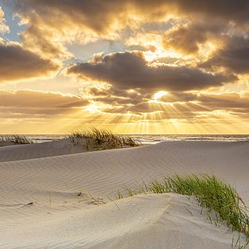 Texel beach, Netherlands