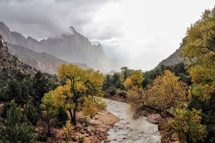 The Watchman