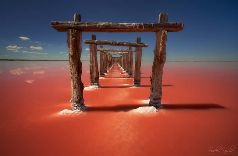 Through the gates
