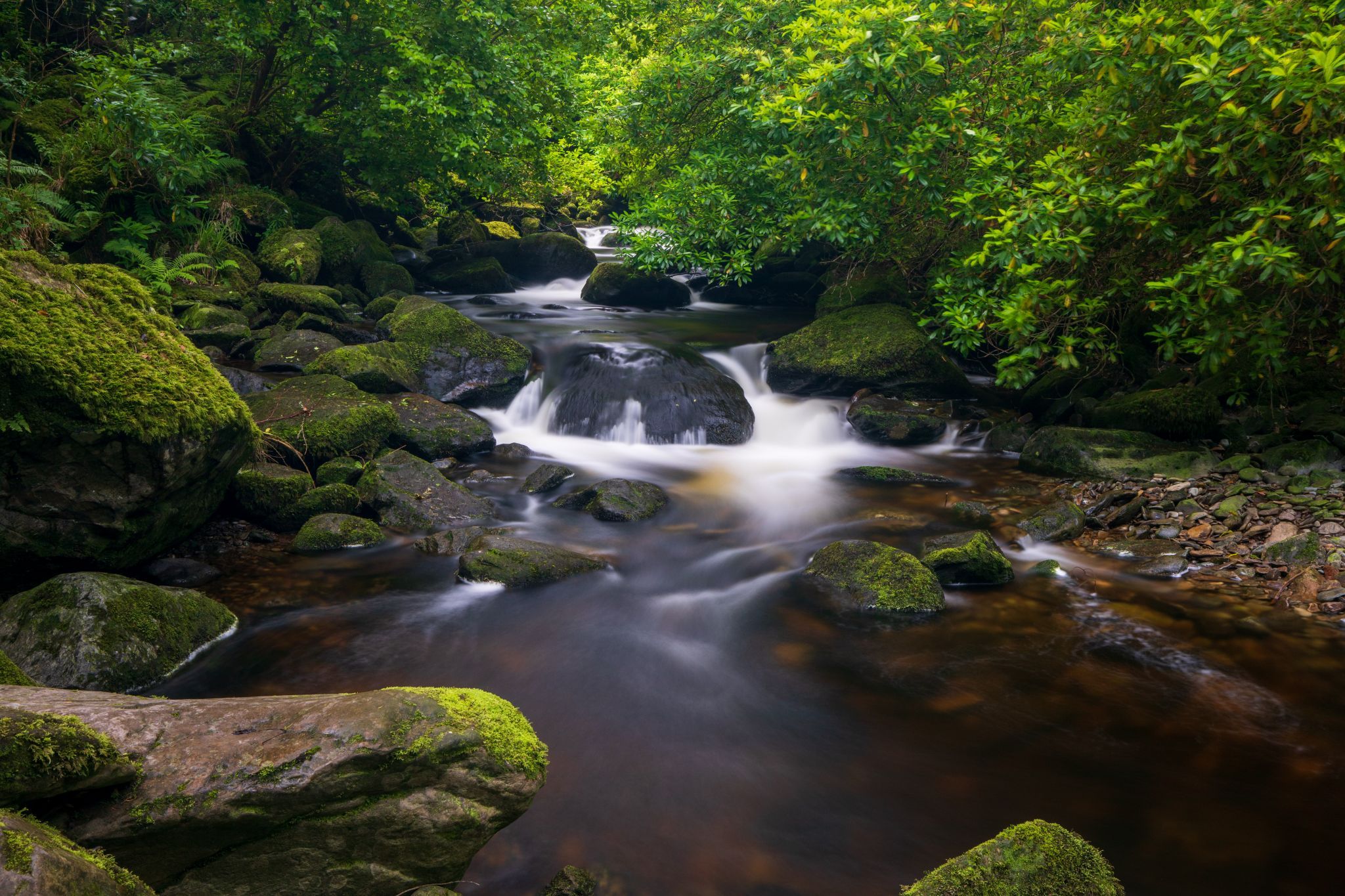Torc Waterfall, Killarney National Park, Ireland