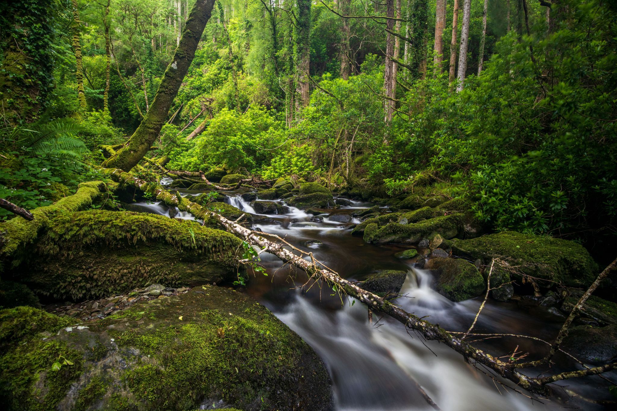 Torc Waterfall, Killarney National Park, Ireland