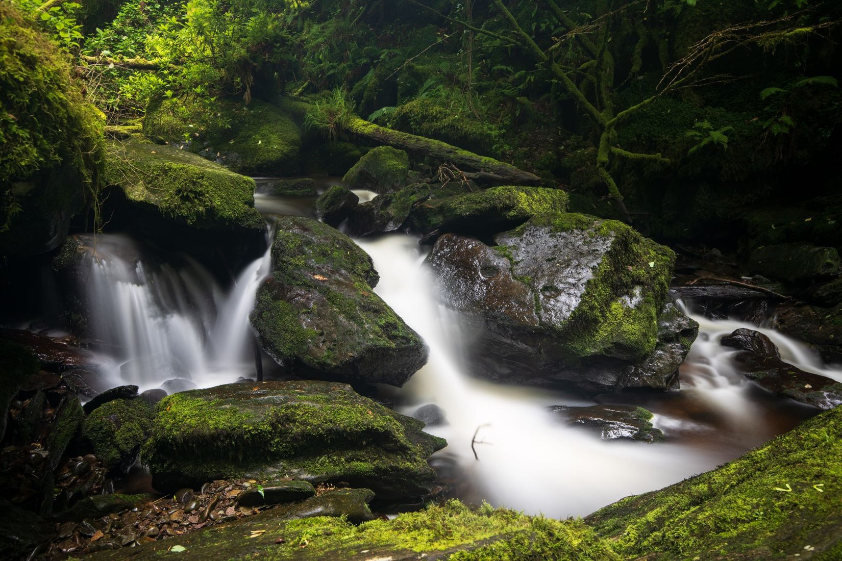 Torc Waterfall, Killarney National Park, Ireland