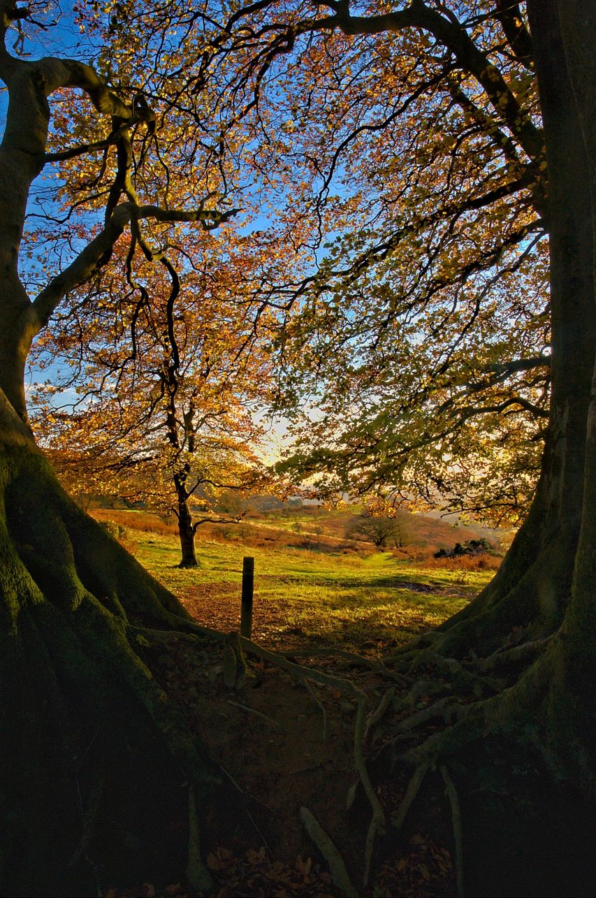 Triscombe Stone, United Kingdom
