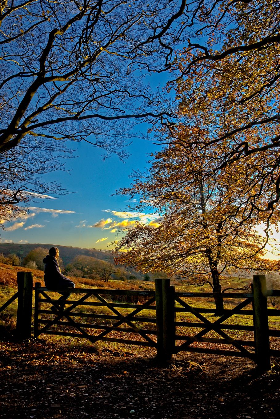 Triscombe Stone, United Kingdom