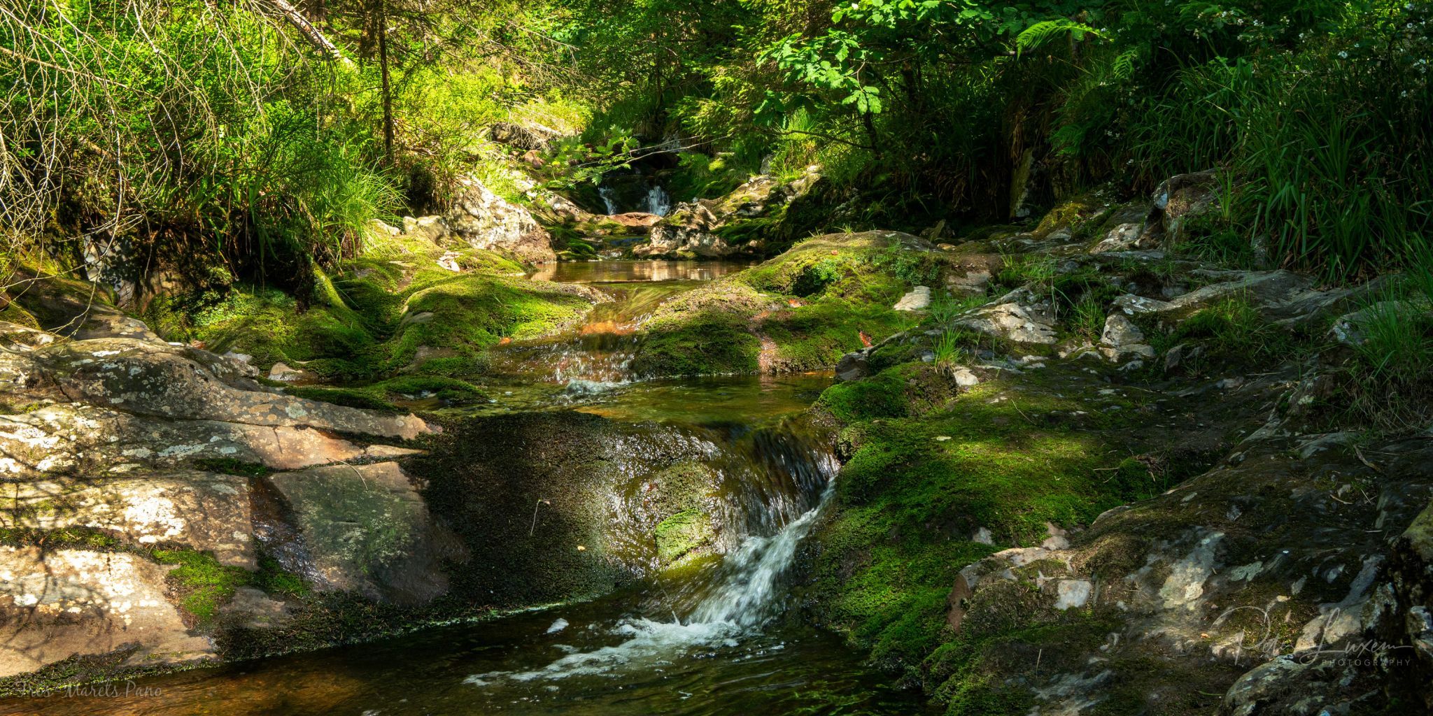 Tros Marets, Belgium