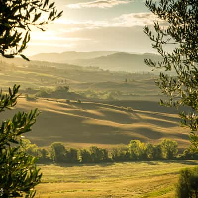 Tuscan Fields, Italy