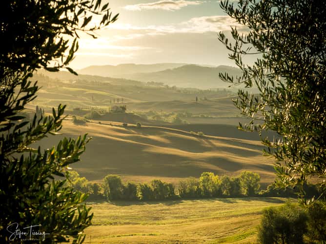Tuscan Fields