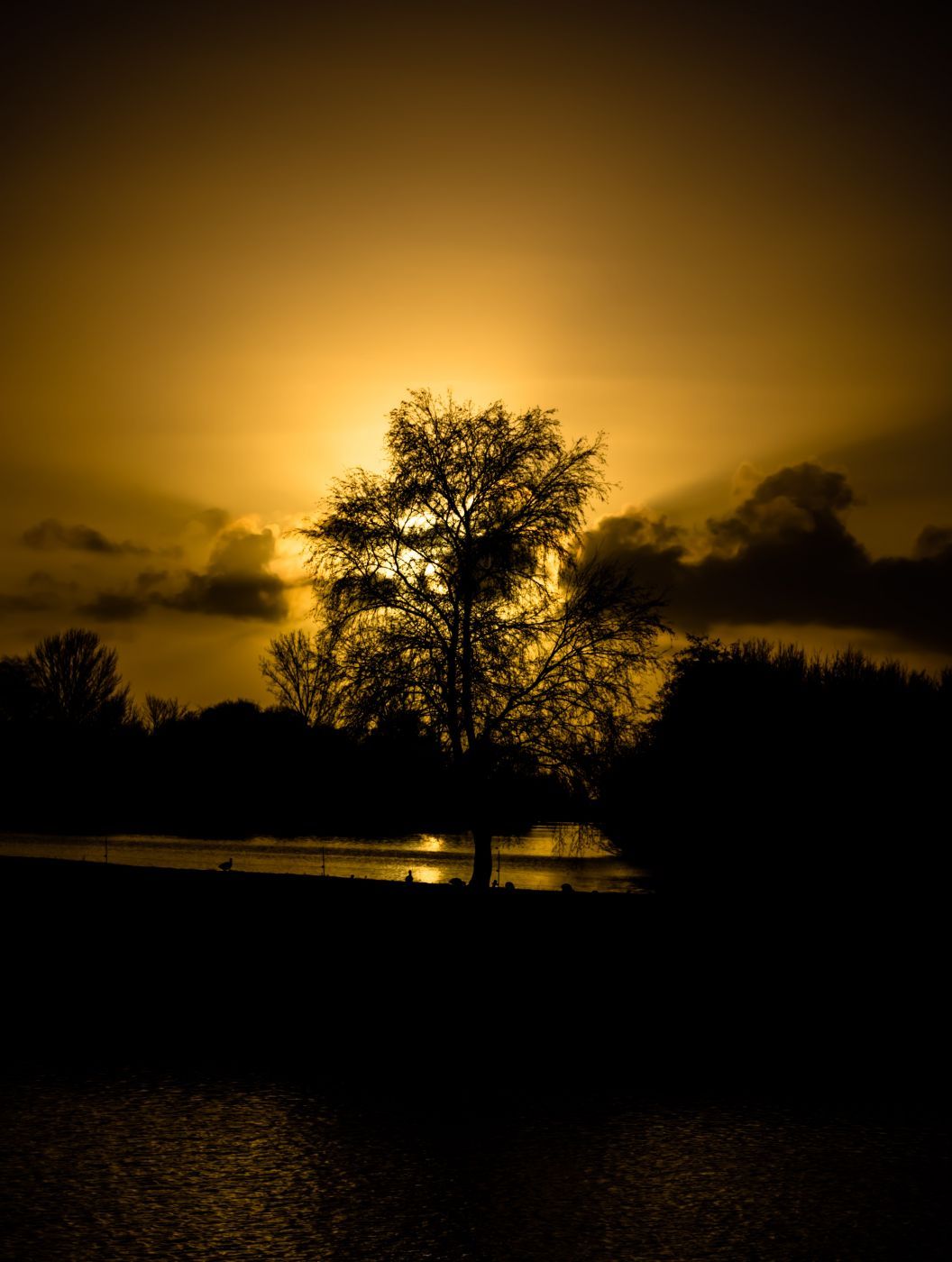 Vecht sunset, Netherlands