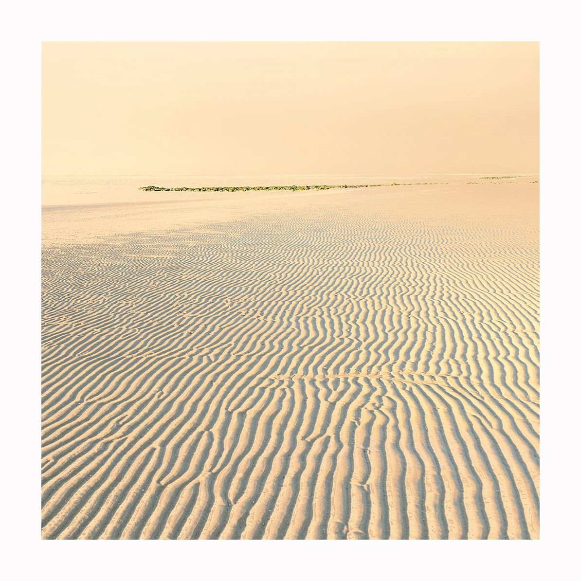 Vlieland Oost, Vlieland, Netherlands