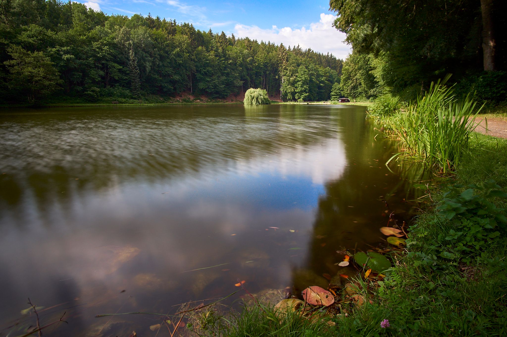 Waldsee Niedernhausen, Germany