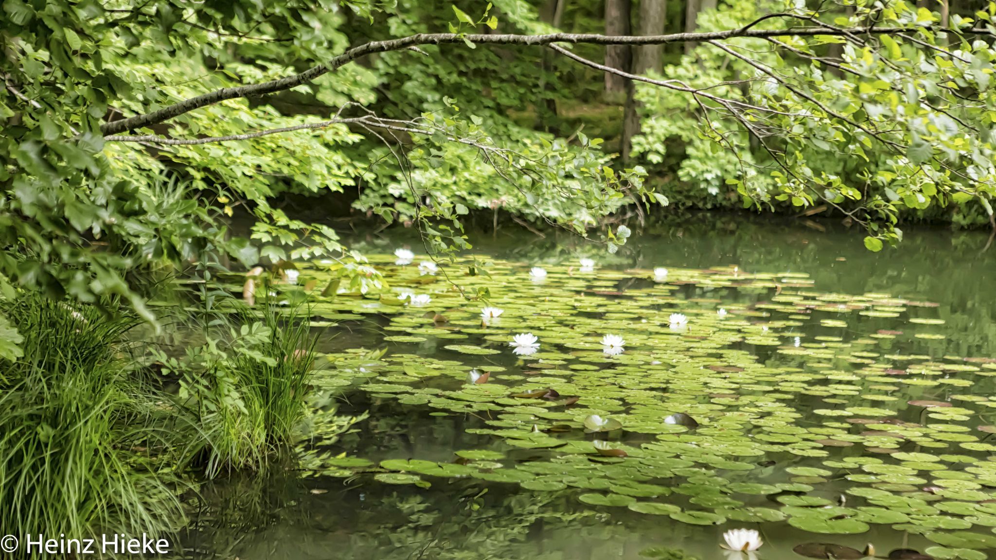 Waldsee, Switzerland