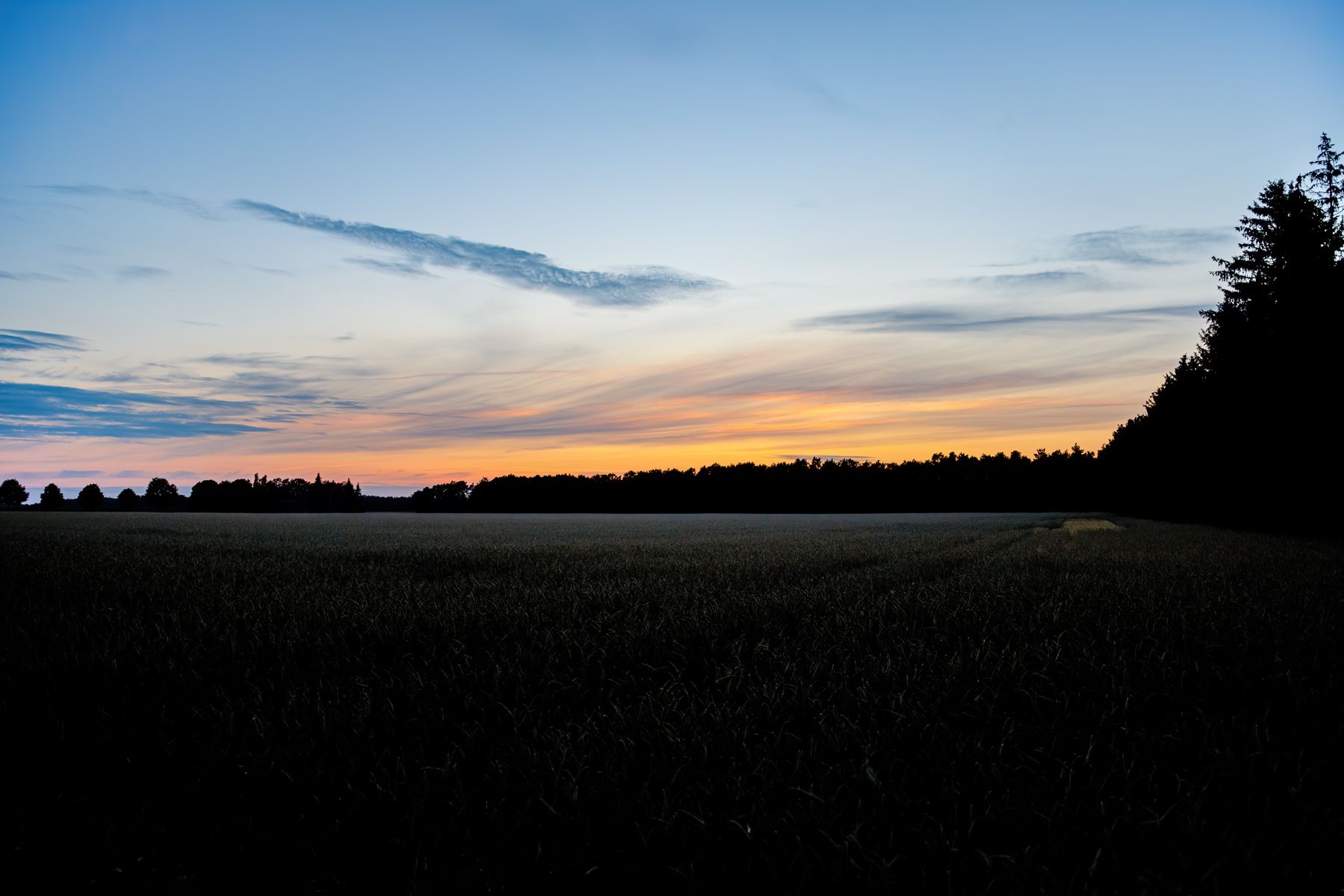 Walsen, Germany