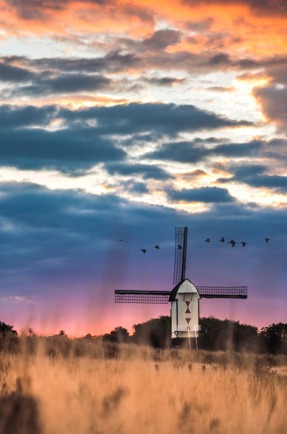 windmill, Netherlands