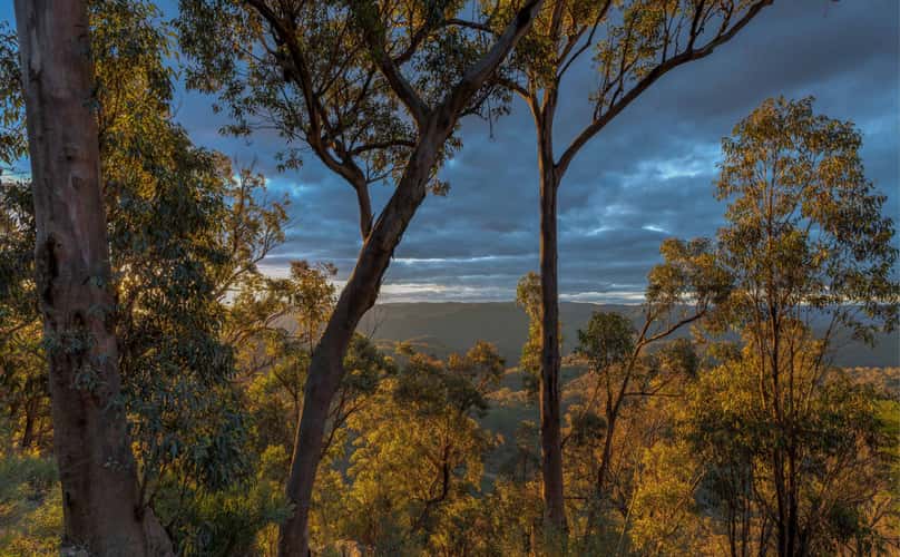 Wombeyan Caves Road, Nattai National Park