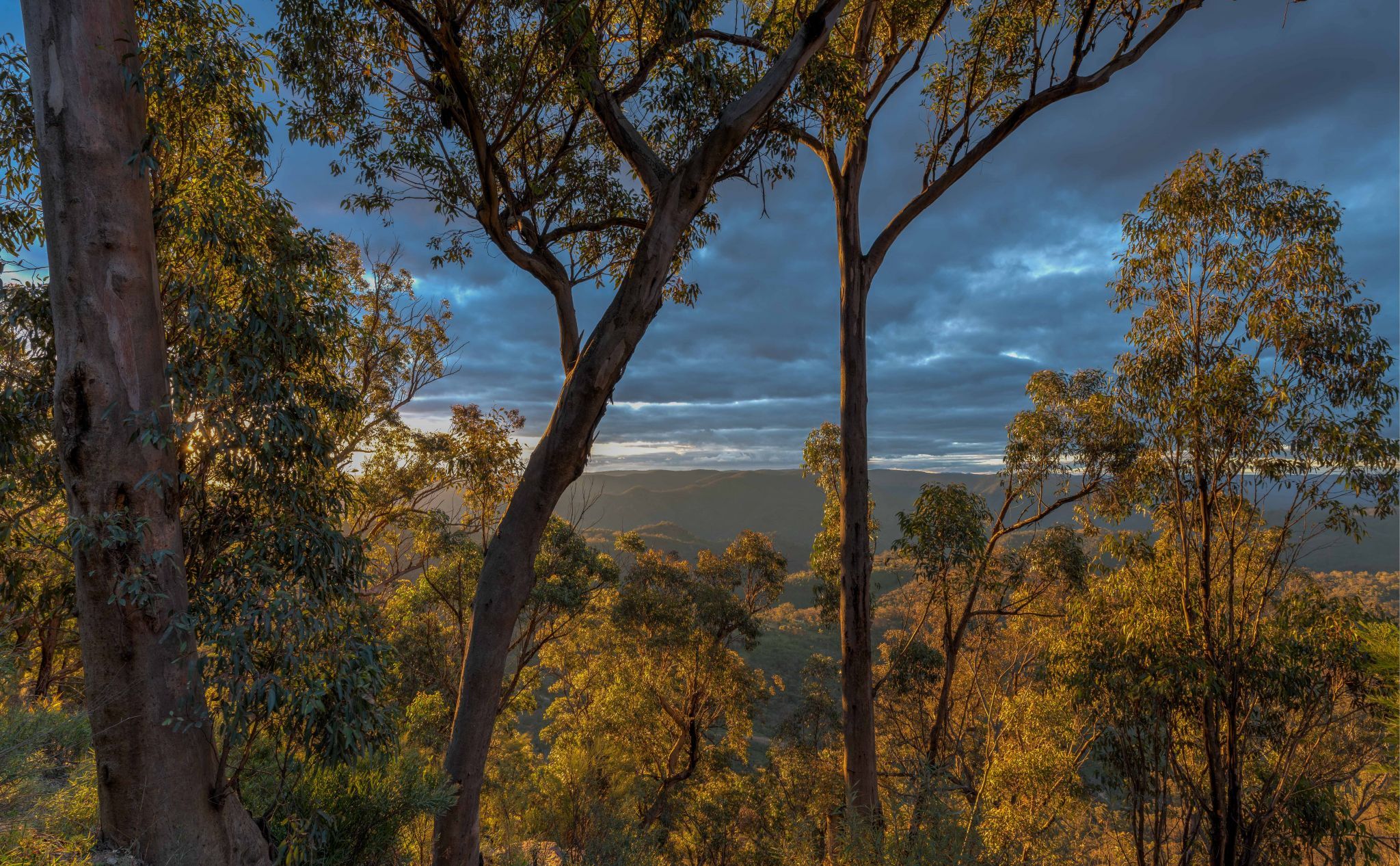 Wombeyan Caves Road, Nattai National Park, Australia
