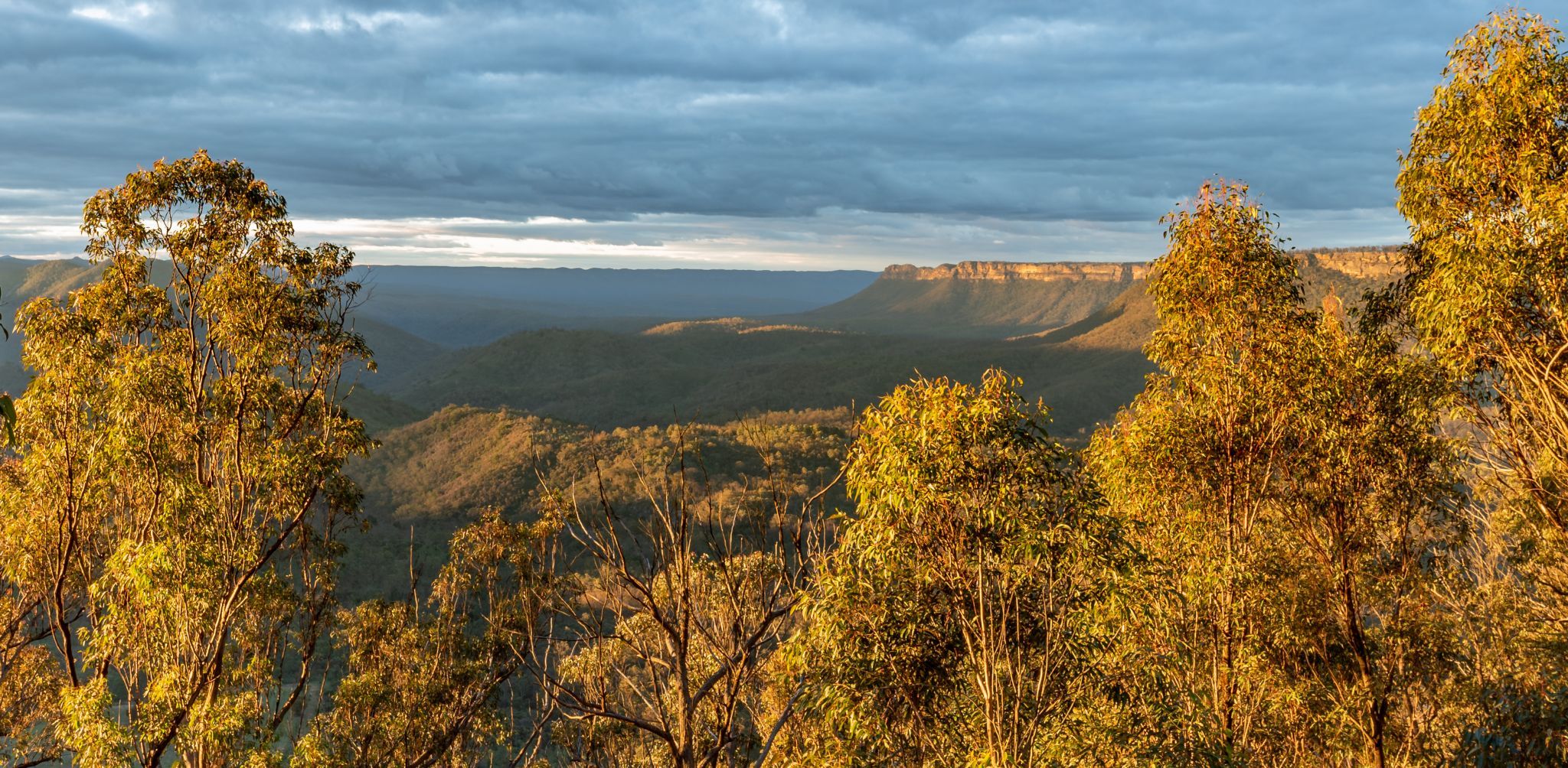 Wombeyan Caves Road, Nattai National Park, Australia