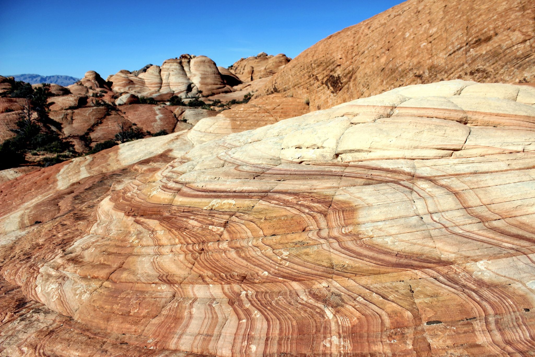 Yants Flat, USA