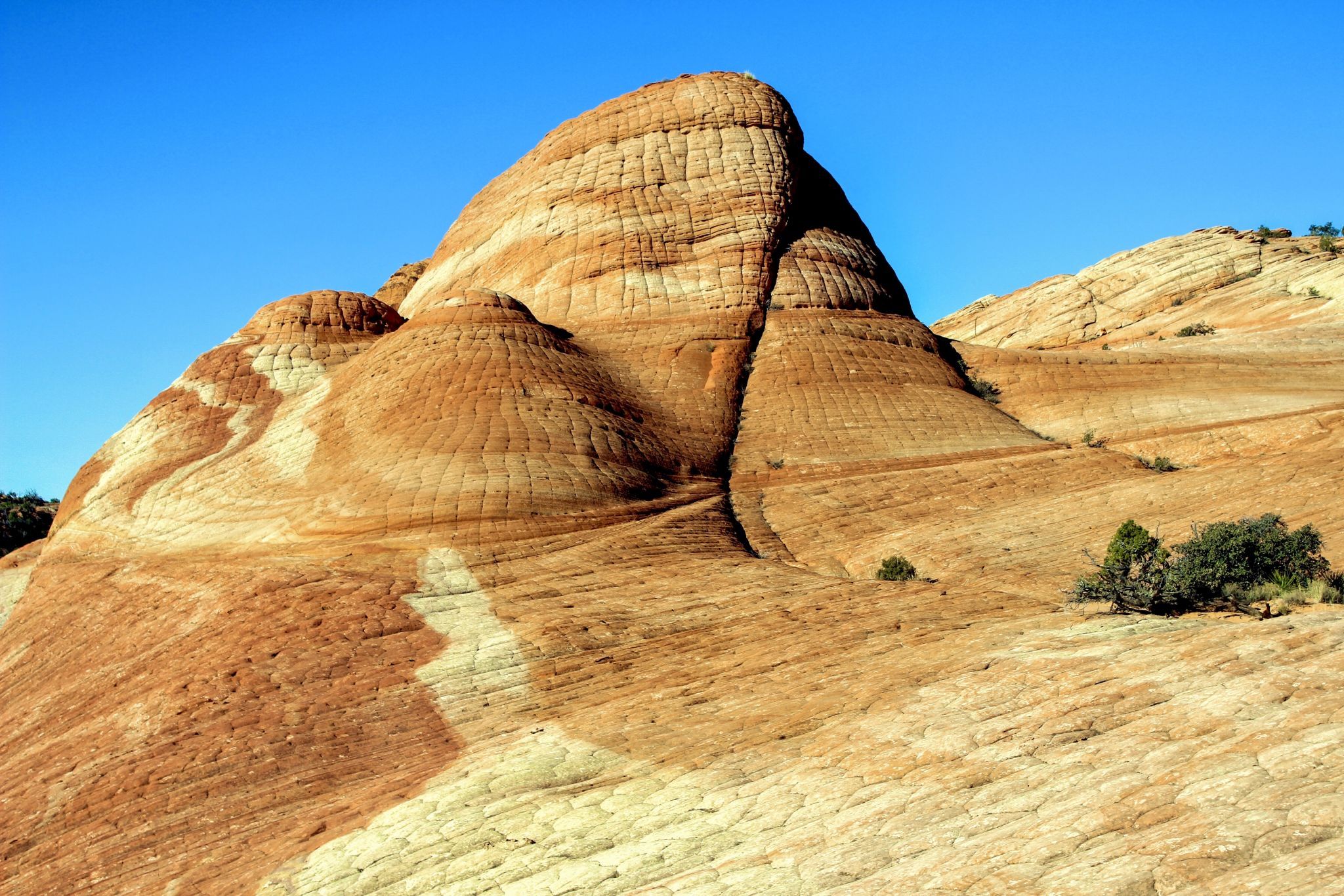 Yants Flat, USA