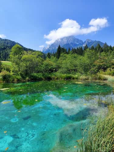 Zelenci Lake