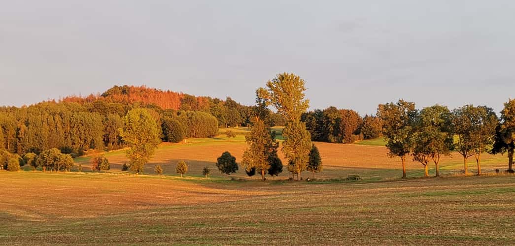 Abendstimmung