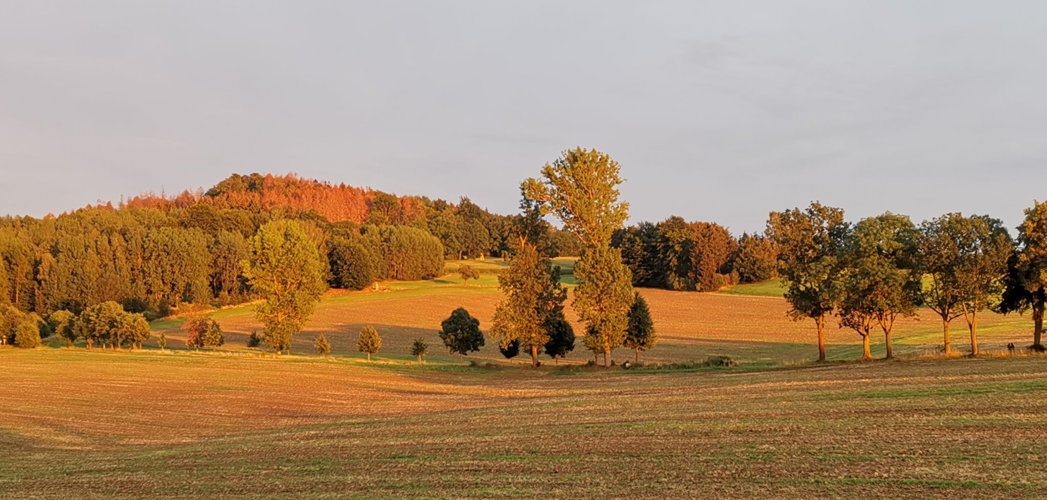Abendstimmung, Germany