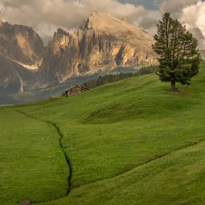 Alpe di Siusi, Italy