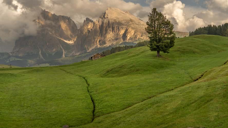 Alpe di Siusi